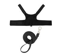 Texvora 2 Pcs Bearded Dragon Harness Set, Polyester Adjustable Leash, Small Animals Lizard Leash, Secure And Comfortable