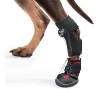 Texvora Dog Mobility Brace for No Knuckling, Drop Foot Support with Adjustable Reel System, Corrective Pet Shoes for Front Leg Stability, Joint Comfort and Outdoor Protection for Dogs