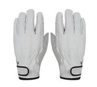 Texvora Heatproof And Breathable Barbecue Gloves, Kitchen Baking And Grilling Gloves