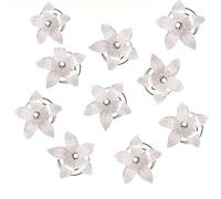 Teydhao 10 Pcs White Flower Spiral Twist Hair Pins Crystal Bridal Wedding Clip Hair Accessory
