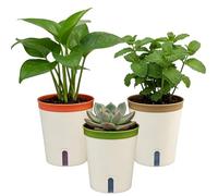 TEYIAN 14.5cm Self Watering Plant Pot Indoor 3 Pack Plastic Flower Pot Modern Decorative Garden Planter Pots for Herb Orchid Aloe Succulent Plants