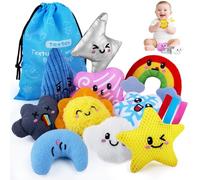 teytoy Sensory Bean Bag Toys for Autism, 10 Fidget Weather Theme Texture Sensory Toys with Storage Bag, Special Needs Developmental Toys Develop Fine Motor Sensory Play for Toddlers Baby Boys Girls