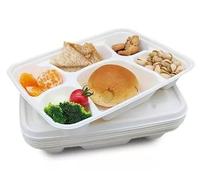 Tezraftaar® 50 x Bagasse Compartment Plates 6 Compartment (12") White Biodegradable Section Plates for Picnic Traveling Catering Camping Parties Supply