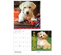 TF Publishing 2026 Puppies Mini Calendar with Monthly Grids for Appointments and Scheduling - Vertical Small Wall Calendar 2026 with Premium Gloss Paper for Home and Office Organization - 7x7in