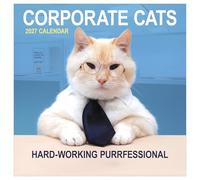 TF Publishing 2027 Corporate Cats Wall Calendar - Large Grids for Appointments and Scheduling - Vertical Monthly Wall Calendar 2027 with Premium Gloss Paper for Home and Office Organization - 12x12 in