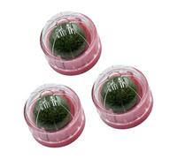 TFAOYS 3Pcs Pet Cats Chew Toy Mint Scented Ball Promoting Teeth Health Through Teething Chewing for Indoor Enrichment Teething Toy