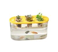 TFAOYS Functional Clear Hydroponic Box Facilitating Plant Root Viewing Simple Upkeeps and Interior Decoration for Households Water Culture