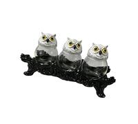 TFAOYS Handcrafted Witch Owl Apothecary Seasoning Jars with Lid Unique Witchcore Kitchen Decors for Salt, Pepper, & Tea Clear Seasoning Jars