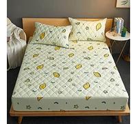 TFBHL Quilted Waterproof Fitted Sheet With Elastic Queen Mattress Protector Solid Color Bed Cover(No Pillowcase) (Color : C, Size : 180x220x30cm)
