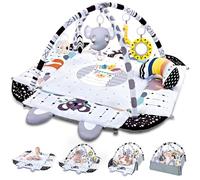 TFDER Baby Gym Play Mat, 8-in-1 Tummy Time Mat & Activity Gym, Washable Ball Pit, Infant Play Mat with Detachable Toys for Sensory Exploration and Motor Skill Development, Gifts for Baby(Black White)