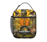 TFDGDGH Insulated Lunch Bags Dinosaurs Attack World Covert Mission Lunch Food Box Ins Thermal Cooler Bento Box Travel