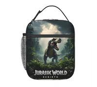 TFDGDGH Jurassic Rebirth Dinosaurs Attack World Thermal Insulated Lunch Bags Covert Mission Portable Bento Box Cooler Thermal Lunch Box