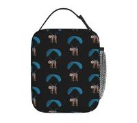 TFDGDGH Paragliding Flying Sloth Sunglasses Skydiver Paraglider Insulated Lunch Bag Thermal Bag Lunch Box Tote for Men Women Office
