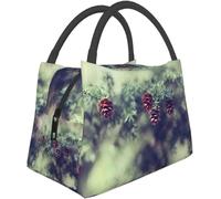TFDGDGH Portable Insulated Lunch Bag Antigua & Barbuda National Flag Tote Bento Bag for Office School Hiking Beach Picnic Fishing