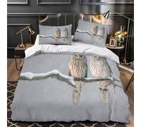 TFEDACVSS Snowy Owl Pair Comforter Cover 3D Design Printed Easy Care 3-Piece Bed Set Zipper Quilt Cover Ultra Soft Machine Washable for Teens Adults Women Kids Youth Super king（260x220cm）