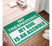 TFSW Beer Decor No Trespassing My Dog Is An Assholes Rug Pool Decorations Outdoor Front Porch Layered Rug(40X60CM)