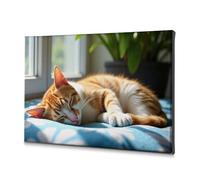 TFSW Coastal Wall Art Cat Napping In Sunlight On Blue Blanket Canvas Decorative Picture Easter Decoration Bathroom Wall Decor(20x30cm)