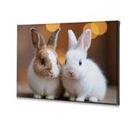 TFSW Decorative Plates Two Adorable Rabbits In Soft Lighting Canvas Decorative Picture Shabby Chic Decor Bathroom Wall Decor(20x30cm)