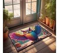TFSW Farmhouse Bathroom Mats Colorful Owl In Art Studio Doormat Door Mats For Home Entrance Teen Boy Room Decor(40X60CM)