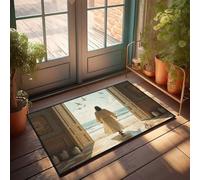 TFSW Funny Outdoor Doormat Journey To The Sea: A Symbolic Walk Doormat Small Door Mat Balcony Decor(40X60CM)