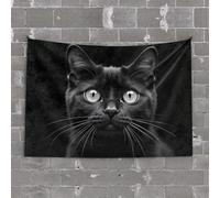 TFSW Funny Patio Decor Kitty Cat Invasion: A Furry Frenzy Tapestry Man Cave Decor And Accessories Room Stuff(100X150CM)
