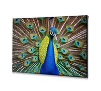 TFSW Home Wall Decor Peacock With Vibrant Feathers Displaying Canvas Decorative Picture Dining Room Decor Home Decor Wall(20x30cm)