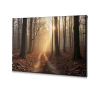 TFSW Rustic Home Decor Sunrise In The Autumn Forest Canvas Decorative Picture Bathroom Decorations Wall Decorations(40x60cm)