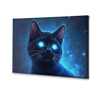 TFSW Wall Decorations Blue-Eyed Black Cat In Space Canvas Decorative Picture Bathroom Pictures Wall Decor Shabby Chic Decor(30x40cm)