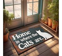 TFSW Weather Mats For House Best Seat In The House: Move Can! Doormat Bedroom Stuff Fall Outdoor Rug For Front Door(40X60CM)