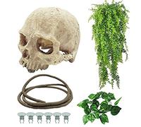 Tfwadmx Reptiles Skull Hide Decorations Bearded Dragon Tank Accessories Terrarium Ornament Gecko Hideouts Cave Snake Habitat Jungle Climber Bendable Vines Leaves for Lizards,Chameleon,Spider (4 Pcs)