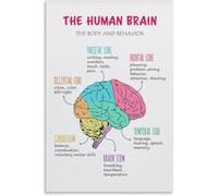 TFZQm Brain Poster, Brain Lobes Functions, Therapy Office Decor, The Human Brain, Brain Anatomy for Kids, Classroom Poster Metal Tin Sign 8x12 inch