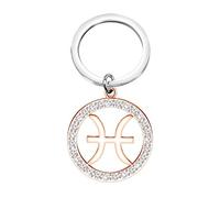 TGBJE Zodiac Constellation Keychain Zodiac Sign Gift Zodiac Outline Gift Horoscope Constellation Celestial Zodiac Keychain, Rg Pisces, 3.0*3.0cm