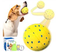 TGFIX ETPU Interactive Play Ball for Dogs with 3 Game Modes IPX7 Storage Bag, Dog Ball Electric Dog Toy Indestructible, Self-Rolling Ball Dog Moves with LED Lights (Money)
