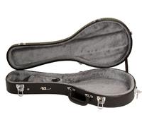 TGI Case Wood Mandolin "A" Style 1993