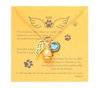 TGOLM Pet Loss Sympathy Gift Animal Urn Necklace for Ashes Fur Angel Wing Charm Birthstone Crystal Memorial Cremation Keepsake Jewelry for Pet Owners, adjustable, Brass, No Gemstone