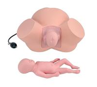 TGPSMDXKV 1:1 Life Size Birth Midwifery Training Simulator Childbirth Obstetrics Gynecology Normal Abnormal Fetal Positions Delivery Maternity Manikin