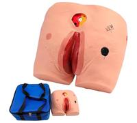 TGPSMDXKV Advanced Stage Decubitus Sore Training Model, 4 Stage Decubitus Ulcer Care Model, for Nursing Teaching