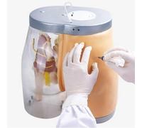 TGPSMDXKV Buttock Injection Model Hip Injection Training Simulator Half-Transparent Buttock Muscle Injection Practice Model for Medical Teaching