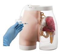 TGPSMDXKV Buttock Injection Model, Hip Injection Training Simulator Half-Transparent Buttock Muscle Injection Practice Model for Medical Students Teaching