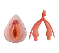 TGPSMDXKV Female Gynecological Manikin Model, 2 Pcs Vulva/Clitoris Combination Model for Reproductive System Anatomy Teaching