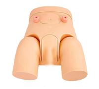 TGPSMDXKV Male & Female Interchangeable Catheterization Model - Nursing Practice Urinary Catheter Training Simulator Kit for Students & Nurses