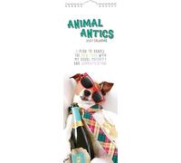 TGSC | Animal Antics 2027 Slimline Calendar (Jan-Dec 2027), UK Planner with Funny Animals, Includes UK Holidays, For Home and Office Organisation | 42 x 15 cm