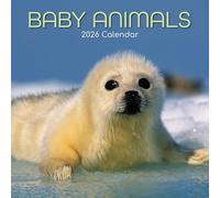 TGSC | Baby Animals 2026 Calendar 16 Month (Sept 2025-Dec 2026) Family Square Wall Calendar 2026 UK | Planner with Large Grid for Home or Office Organisation - Animals 2026/2025 Calendar UK