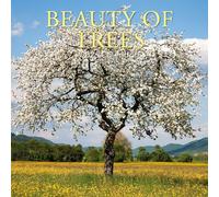 TGSC | Beauty of Trees 2026 Calendar 16 Month (Sept 2025-Dec 2026) Family Square Wall Calendar 2026 UK | Planner with Large Grid for Home or Office Organisation - 2026/2025 Calendar UK