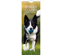 TGSC | Border Collie 2027 Slimline Calendar (Jan-Dec 2027), UK Planner with Border Collies, Includes UK Holidays, For Home and Office Organisation | 42 x 15 cm