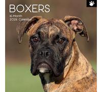 TGSC | Boxers 2026 Calendar 16 Month (Sept 2025-Dec 2026) Family Square Wall Calendar 2026 UK | Planner with Large Grid for Home or Office Organisation - Dogs 2026/2025 Calendar UK