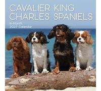 TGSC | Cavalier King Charles Spaniels 2026-2027 Calendar, 16-Month Square Wall Calendar (Sept 2026 - Dec 2027), UK Planner with Spaniels, For Dog Lovers, Home Decor, Office Organiser | 30 x 30 cm
