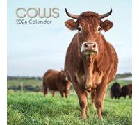 TGSC | Cows 2026 Calendar 16 Month (Sept 2025-Dec 2026) Family Square Wall Calendar 2026 UK | Planner with Large Grid for Home or Office Organisation - Animals 2026/2025 Calendar UK