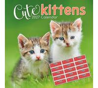 TGSC | Cute Kittens 2027 Calendar with Stickers | Home & Office Planner | 16-Month Square Wall Calendar | Month to View | Marked UK Holidays | Spacious Grid for Notes | High Quality Print | 30x30 cm