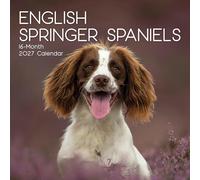 TGSC | English Springer Spaniels 2026-2027 Calendar, 16-Month Square Wall Calendar (Sept 2026 - Dec 2027), UK Planner with Springer Spaniels, For Dog Lovers, Home Decor, Office Organiser | 30 x 30 cm